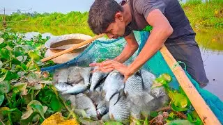 Amazing Fishing ~ Traditional Net Fishing Video