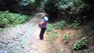 MOV07305