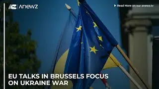 Украина отказалась от цели НАТО, поскольку представитель Трампа отметил прогресс в мирных перегов...