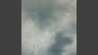 Por Idiota