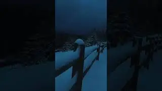 #foggy #nature #darkaesthetic #calm #fyp #aesthetic #snow #shorts #relaxing #foryou