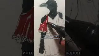 ворона #хуманизация #Educational #Evidence #crowd #artist #art #рисунок