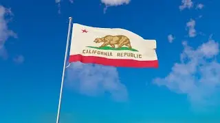 Californian Democrats accused of &lsquo;rolling out the welcome mat&rsquo; for everyone&rsquo;s &lsquo;problems&rsquo;