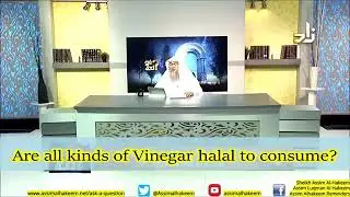 Are all types of Vinegar halal   Sheikh Assim Al Hakeem