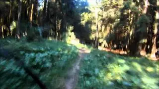 Rusel&Gei&szlig;kopf-Trails: Der 6er Trail hinterm Loderhart-Haus