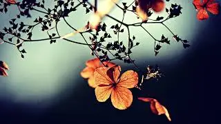 Passionate Piano Music Mix: Embrace the Power of Music
