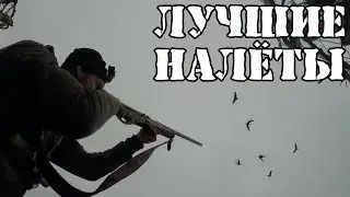 Нарезка лучших гусиных налетов, только выстрелы /часть 2/