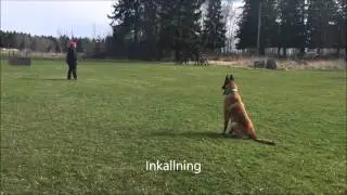 Crut siktar p&aring; appellen