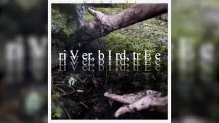 Mind Us - riVer, bIrd, trEe (Audio)