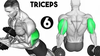 Build Bigger Triceps: The Only 6 Triceps Exercises You Need
