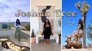 Joshua Tree Vlog | Things to Do, What to Eat, Where to Stay!