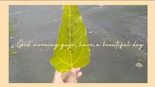 Vlog #11 -Dont Late Wake Up || Alasan Bangun Pagi Pagi