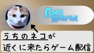 ネコが近くに来たらゲーム配信