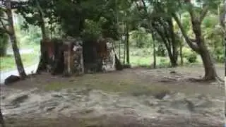 Battle of BIAK (Битва за Биак) Mixed 1944-2013