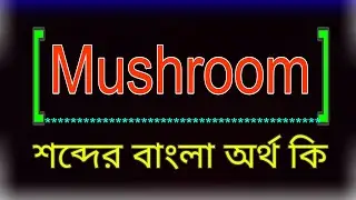 Mushroom শব্দের অর্থ কি । Mushroom meaning in Bangla | Mushroom শব্দের বাংলা অর্থ কি। মাশরুম অর্থ কি