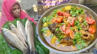 অপূর্ব স্বাদের কালবাউশ মাছ রেসিপি Kali Baush Mach Fulkopi Begun Alu Ranna Village Style Fish Curry