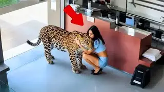 Dangerous Animals Being Friendly Caught On Camera