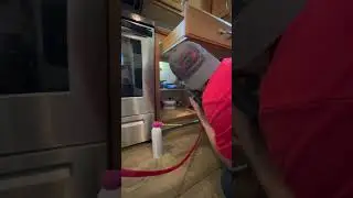DIY Pest Control