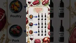 The best red wine & meat combos you NEED to know Part 1! 🍷🔥 #shorts #wine  #vino #wineacademy