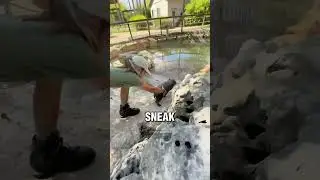 Мама-бегемотиха посмотрела на него 🥰❤️
