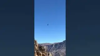 Аул Гамсутль. Туры в Дагестан. Туры по Кавказу. ДАВС Тур