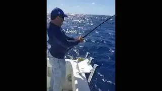 Sailfish - Lucky Fishing Charters - Miami Fishing Charters