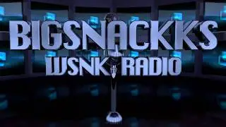 SkybriX | Bigsnakks WSNK Intro