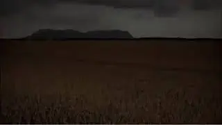 02 lovefield