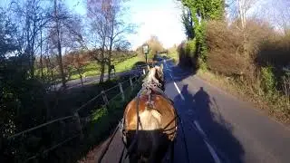 Gina in carriage driving training - Barry Hook, Horse Drawn Promotions