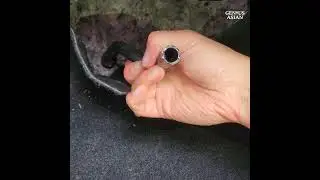 Устраните утечку воды из-под бардачка за 1 минуту и ​​без затрат