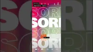 Joel Corry - sorry (remix)