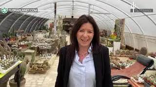 🌵GIROMAGI НАВСЕГДА - 7 Шоурум.