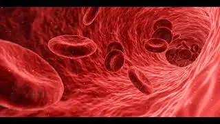 Healing Sounds - Blood-Metaphysics - 321.9Hz Pure Frequency Sound - Isochronic Tone