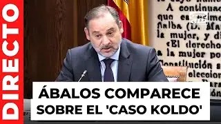 &Aacute;balos comparece por el 'caso Koldo' en la comisi&oacute;n del Senado