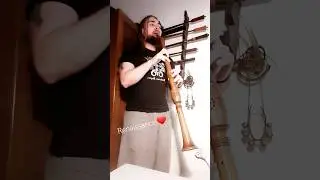 Renaissance pommer ❤️ #renaissance #woodwind #epic #consort #fantasy #multiinstrumentalist #fun