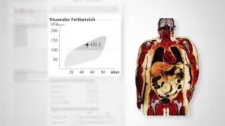 InBody770 - Befundbogen erkl&auml;rt - K&ouml;rperzusammensetzungsanalyse