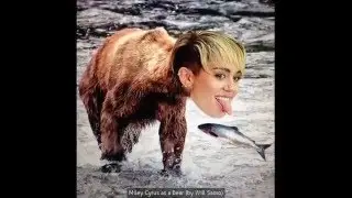 Latest Will Sasso Vine user compilation May, 2016