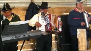 Los Amigos de Peleco Puerto Savedra