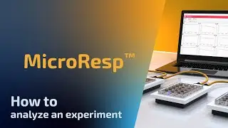 MicroResp&trade; v1 - How to analyze an experiment