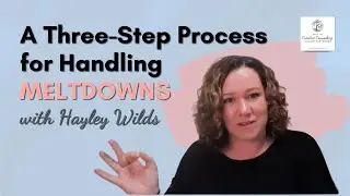 A 3 Step Process for Handling Meltdowns