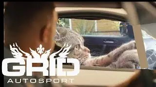 Grid Autosport Online Experience