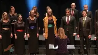 New Dublin Voices - 