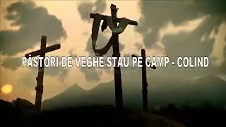 Păstori de veghe stau pe c&acirc;mp  - Nou 