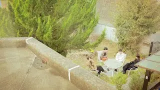colormal - 延命  (colormal - losstime)