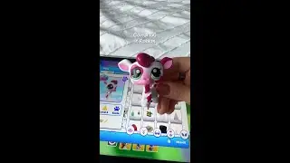 Approving the NEW pets!