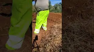 Preparando huerto parte 1
