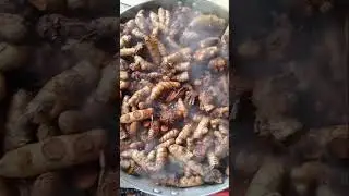 Let us learn how to boil turmeric. How to boil turmeric #kitchentips #turmeric #viralvideos