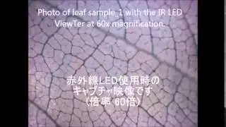 3R-VIEWTER500 (UV type or IR type)  Portable digital microscope
