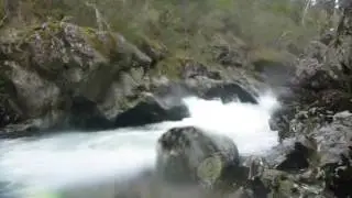 Jamieson River, Wrens Flat to the Gauge - August 2016