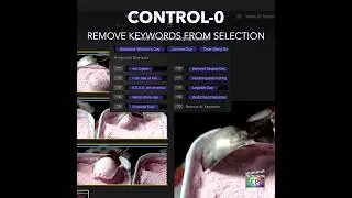 Final Cut Pro Shortcut | Control-0 | Remove Keywords From Selection